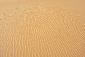 Sand Dunes in Corralejo, Fuerteventura, Canary Islands, Spain. Sand or Desert against Blue sky 
