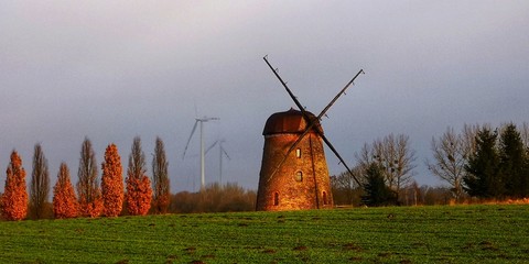 MŁYN  © Mariusz