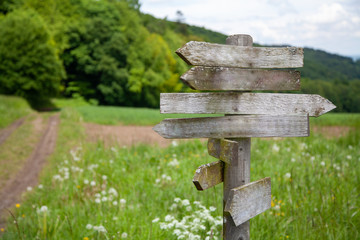 old weathered and mossy signpost with path and forest landscape in the blurred background - obrazy, fototapety, plakaty