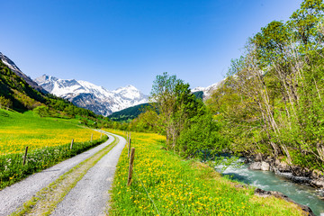 Wunderschöne Schweizer Berglandschaft im Fühling