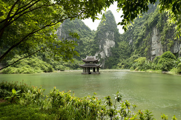 Pagoda acquatica