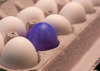 White eggs placed in a cardboard egg carton surrounding one dark blue dyed egg