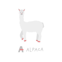 Alpaca animal alphabet character kids illustration