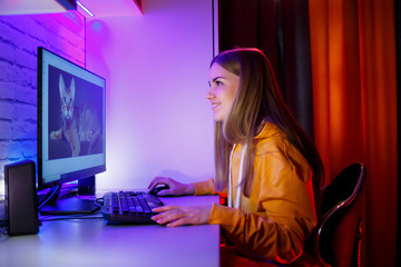 Girl freelancer looks on a computer screen at a cat. Sitting in an apartment at a computer desk
