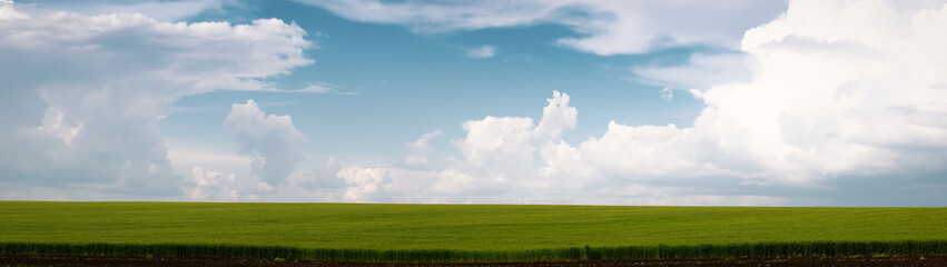 Obraz na płótnie Canvas Beautiful summer landscape green field and blue sky with clouds web banner panoramic