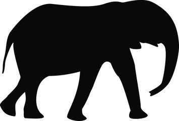 Vector illustration, black silhouette on a white background, elephant.