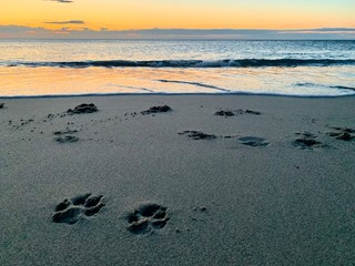 Footprints on the beach