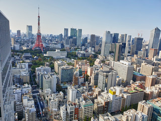 Aeral view of Tokyo skyline at daytime