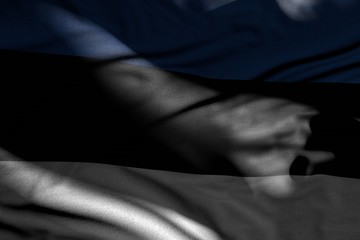 wonderful picture of dark Estonia flag with folds lie in shadows with light spots on it - any holiday flag 3d illustration..