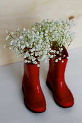 Red rubber boots and white flowers. Gardening concept with flowers in boots.