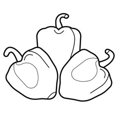 Vector illustration icon of a pepper