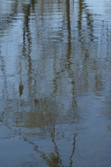 Sonnen Licht Reflexionen auf der Wasser Oberfläche