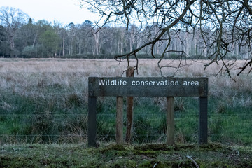 Wildlife Conservation Area in the New Forest National Park, England - UK