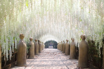 Flower tunnel in Cherntawan International Meditation Center in Chiang Rai, Thailand
