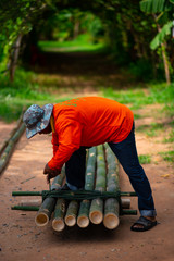 Bamboo raft