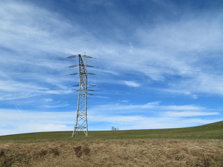 Strommast auf Wiese