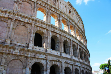 Fototapeta premium Ruins of the Colosseum in Rome