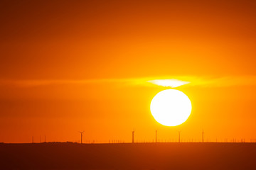sunset on the background of wind farm