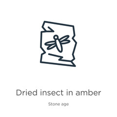 Dried insect in amber icon. Thin linear dried insect in amber outline icon isolated on white background from stone age collection. Line vector sign, symbol for web and mobile