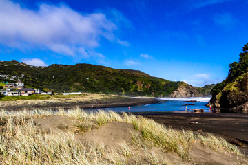 Views of the countryside. Piha Beach, Auckland, New Zealand