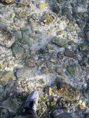 The beautiful beach in Kuwait.