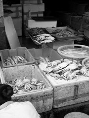 Wochenmarkt in Shanghai