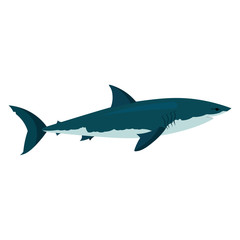 shark illustration design element. sea life flat icon.