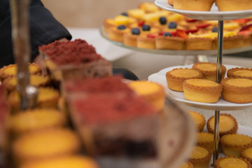 Fruit tartlets dessert and pastry cake sweets on trays