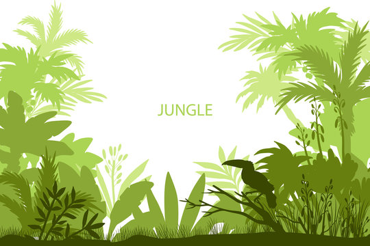 Vector rainforest frame with toucan, palm trees, bamboo, leaves and banana. Ecological tropical banner in green colors and copy space. Jungle background with silhouettes of plants and birds
