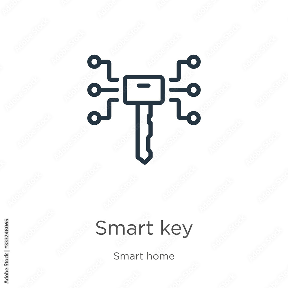 Poster smart key icon. thin linear smart key outline icon isolated on white background from smart house col