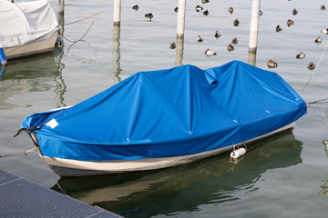 white fishing boat with blue boat cover, cloudy sky and brown white ducks in the background, by day