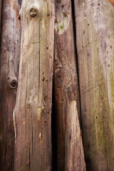 Old oak logs stand upright. Cracks and scratches on the log.