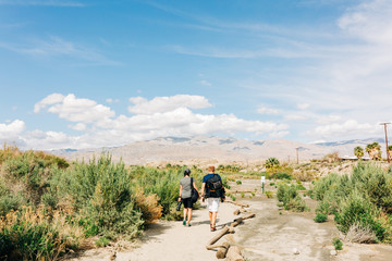 Beautiful Dessert Mountain Landscape