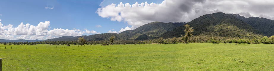 Fototapeta na wymiar green meadows landscape, near Franz Josef Waiau, West Coast, New Zealand