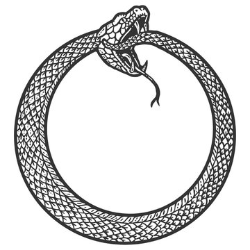 Uroboros, snake coiled in a ring, biting its tail. Scratch board imitation. Black and white hand drawn image.