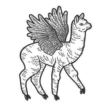 recommend clip art: Cute llama with wings. Scratch board imitation. Black and white hand drawn image.
