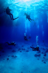 Fototapeta na wymiar group of divers