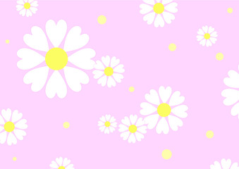 Vector background with white chamomiles on pink background.