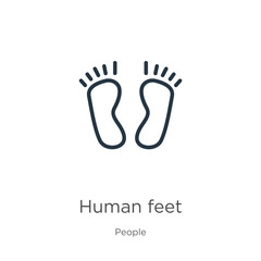 Human feet icon. Thin linear human feet outline icon isolated on white background from people collection. Line vector sign, symbol for web and mobile
