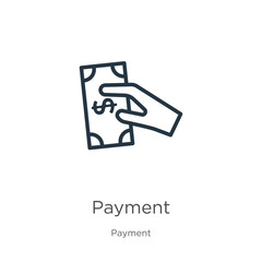 Payment icon. Thin linear payment outline icon isolated on white background from payment collection. Line vector sign, symbol for web and mobile
