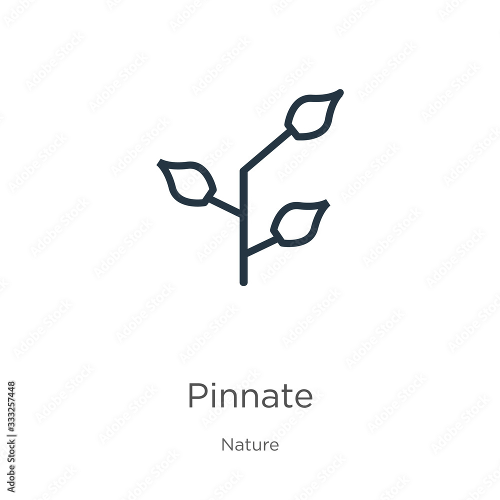 Poster pinnate icon. thin linear pinnate outline icon isolated on white background from nature collection. 