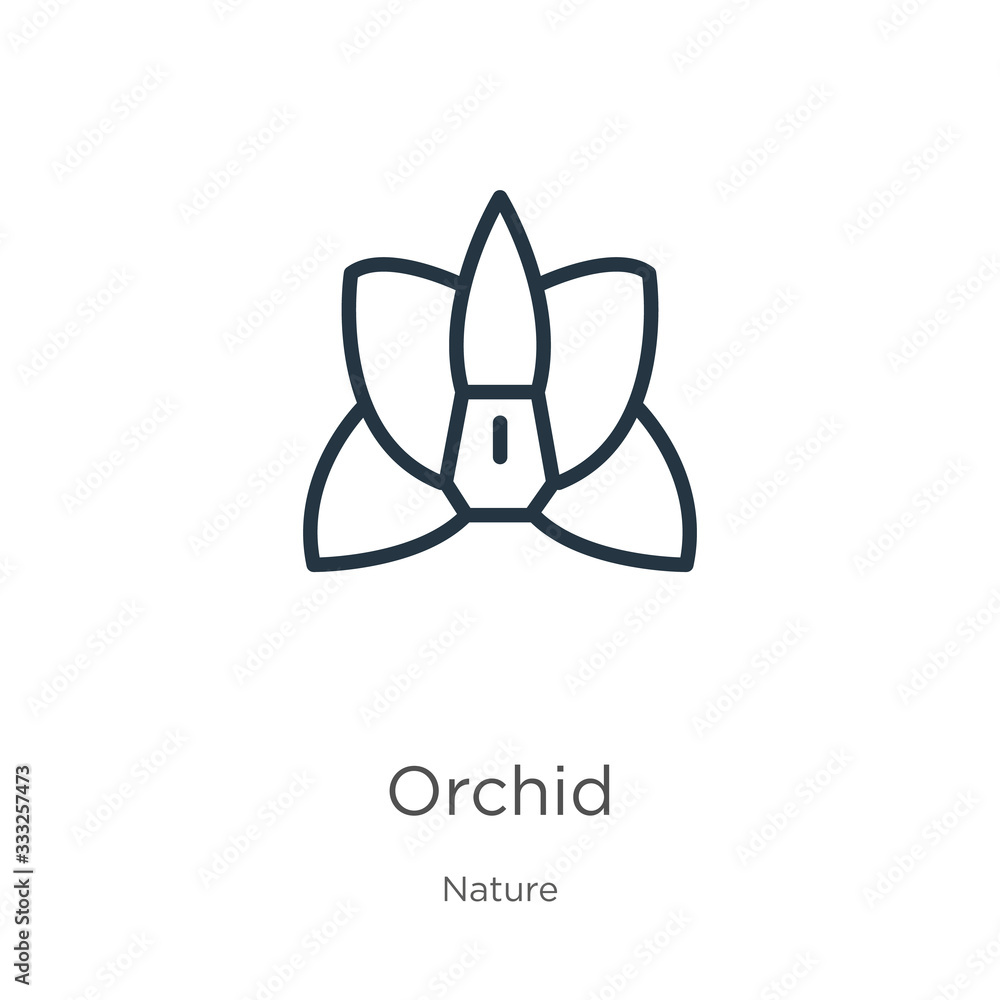 Poster orchid icon. thin linear orchid outline icon isolated on white background from nature collection. li