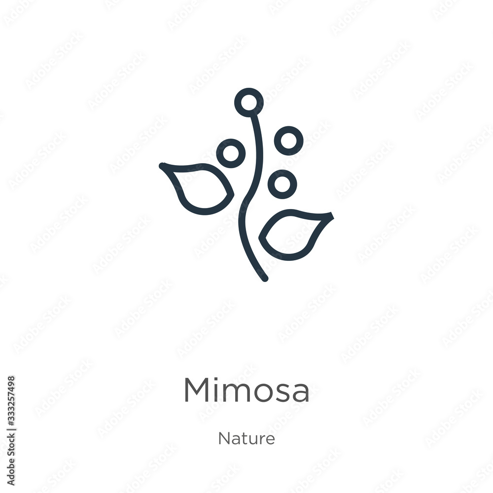 Poster mimosa icon. thin linear mimosa outline icon isolated on white background from nature collection. li
