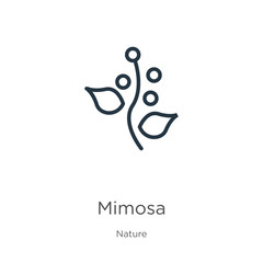 Mimosa icon. Thin linear mimosa outline icon isolated on white background from nature collection. Line vector sign, symbol for web and mobile