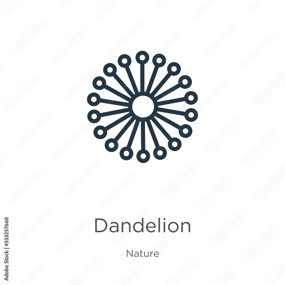 Poster dandelion icon. thin linear dandelion outline icon isolated on white background from nature collecti