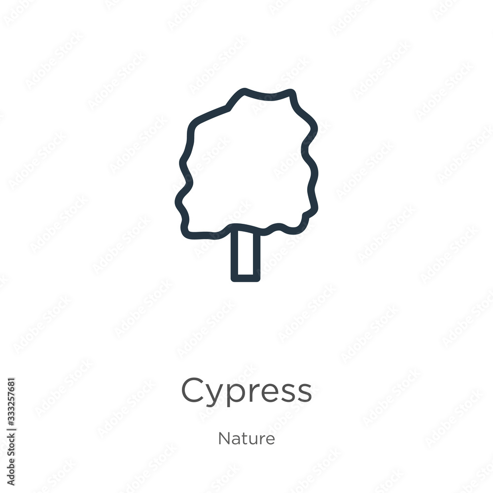Poster cypress icon. thin linear cypress outline icon isolated on white background from nature collection. 