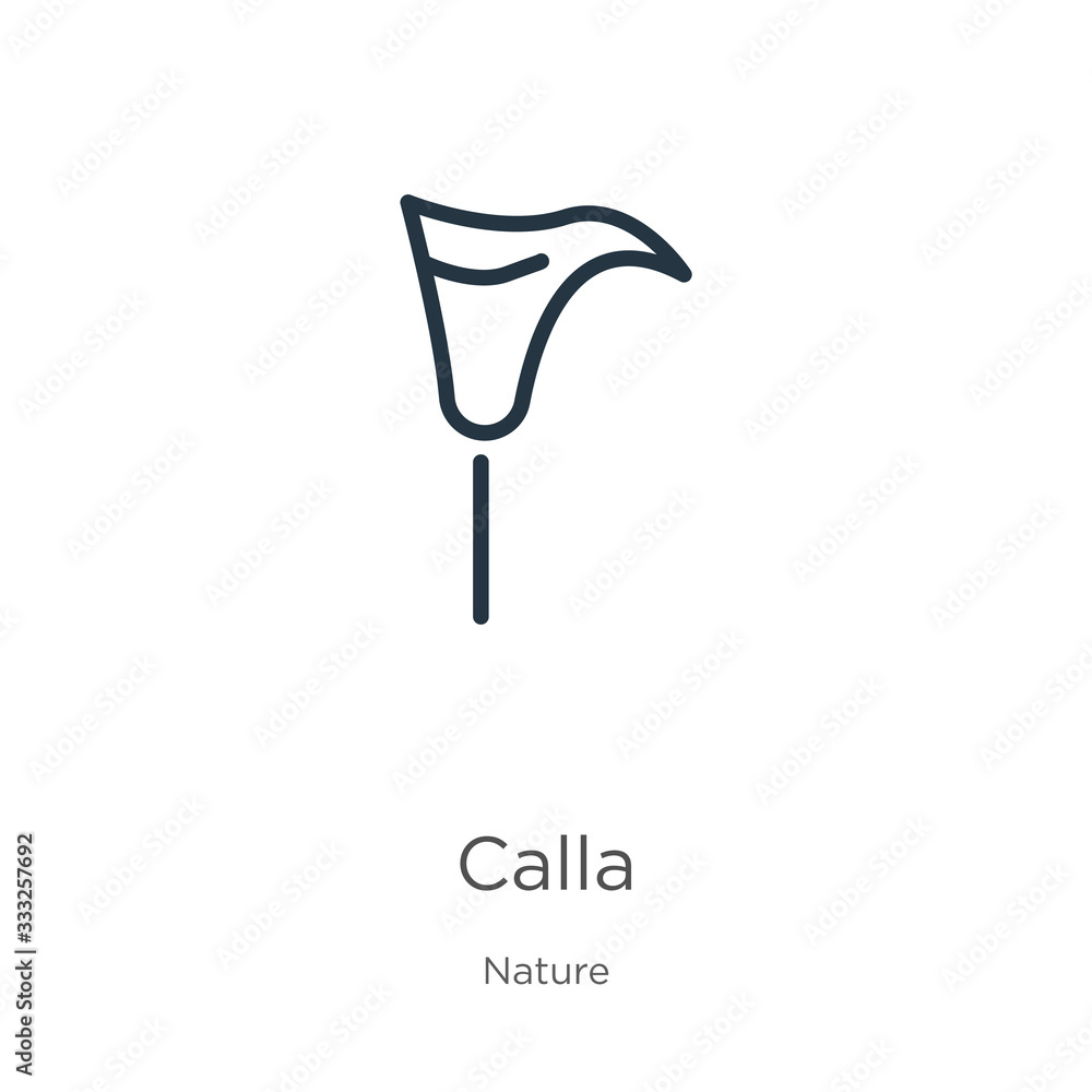 Poster calla icon. thin linear calla outline icon isolated on white background from nature collection. line