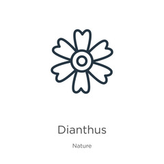 Dianthus icon. Thin linear dianthus outline icon isolated on white background from nature collection. Line vector sign, symbol for web and mobile