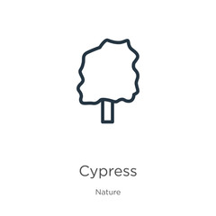 Cypress icon. Thin linear cypress outline icon isolated on white background from nature collection. Line vector sign, symbol for web and mobile