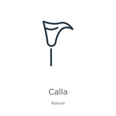 Calla icon. Thin linear calla outline icon isolated on white background from nature collection. Line vector sign, symbol for web and mobile